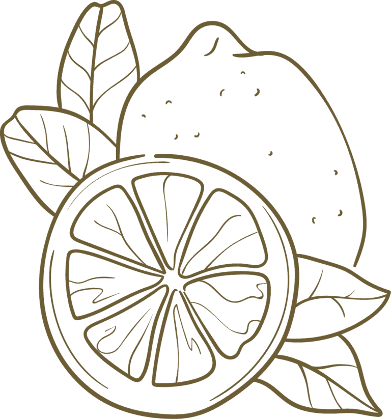 Lemon and lemon slices with leaves, illustrated in a simple line art style.