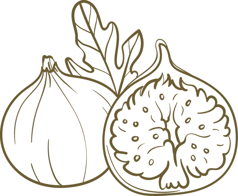 A ripe fig and a halved fig showing the interior with seeds and pulp, accompanied by a fig leaf.